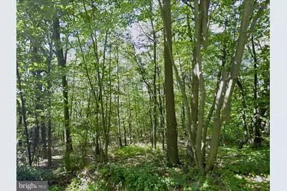 00 Weavers Wood Road, Saxton, PA 16678 - Photo 5