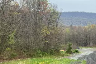 Lot #14 Ridge Way Dr, Everett, PA 15537 - Photo 1