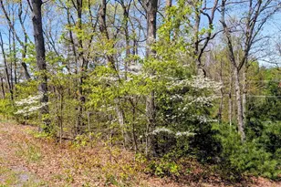 2741 Rock Hill Church Rd, Everett, PA 15537 - Photo 53