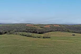308 Camp Hill Rd, Buffalo Mills, PA 15534 - Photo 27