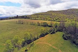 308 Camp Hill Rd, Buffalo Mills, PA 15534 - Photo 7