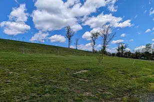 258 Lovely Rd, Alum Bank, PA 15521 - Photo 69