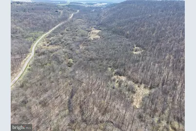 129+/- Acres Black Hollow Rd, Schellsburg, PA 15559 - Photo 15