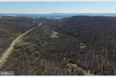 129+/- Acres Black Hollow Rd, Schellsburg, PA 15559 - Photo 13
