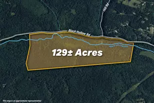 129+/- Acres Black Hollow Rd, Schellsburg, PA 15559 - Photo 1