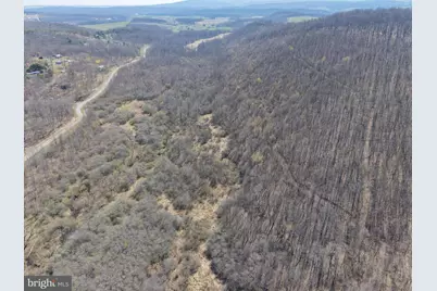129+/- Acres Black Hollow Rd, Schellsburg, PA 15559 - Photo 19