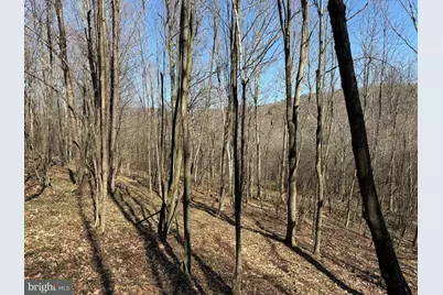 129+/- Acres Black Hollow Rd, Schellsburg, PA 15559 - Photo 39