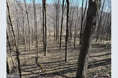 129+/- Acres Black Hollow Rd, Schellsburg, PA 15559 - Photo 57