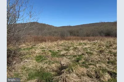 129+/- Acres Black Hollow Rd, Schellsburg, PA 15559 - Photo 69