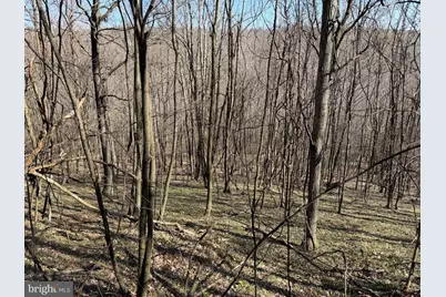 129+/- Acres Black Hollow Rd, Schellsburg, PA 15559 - Photo 43
