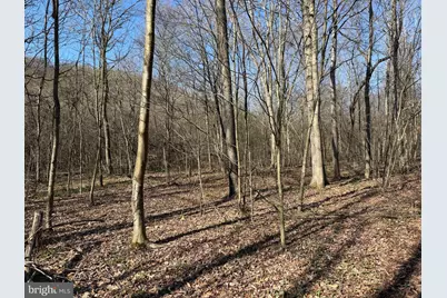 129+/- Acres Black Hollow Rd, Schellsburg, PA 15559 - Photo 27