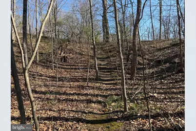 129+/- Acres Black Hollow Rd, Schellsburg, PA 15559 - Photo 23