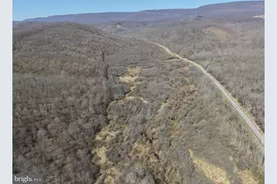129+/- Acres Black Hollow Rd, Schellsburg, PA 15559 - Photo 9