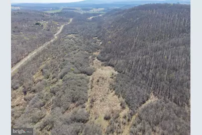 129+/- Acres Black Hollow Rd, Schellsburg, PA 15559 - Photo 17
