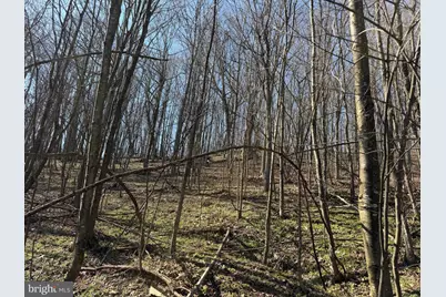 129+/- Acres Black Hollow Rd, Schellsburg, PA 15559 - Photo 41