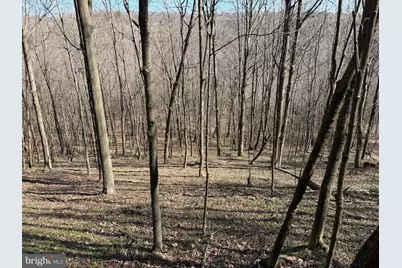 129+/- Acres Black Hollow Rd, Schellsburg, PA 15559 - Photo 47