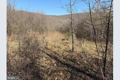 129+/- Acres Black Hollow Rd, Schellsburg, PA 15559 - Photo 63