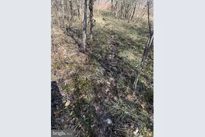 129+/- Acres Black Hollow Rd, Schellsburg, PA 15559 - Photo 65