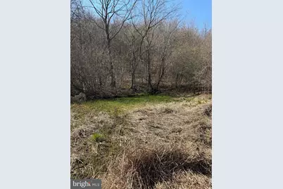 129+/- Acres Black Hollow Rd, Schellsburg, PA 15559 - Photo 67