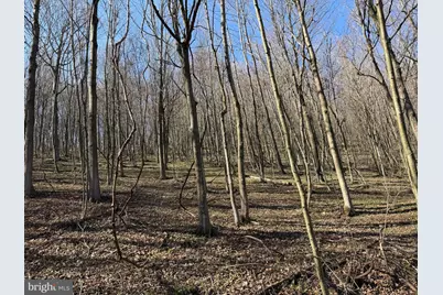 129+/- Acres Black Hollow Rd, Schellsburg, PA 15559 - Photo 49