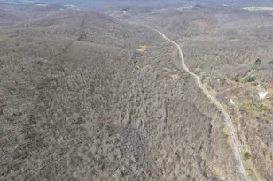 129+/- Acres Black Hollow Rd, Schellsburg, PA 15559 - Photo 1