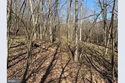 129+/- Acres Black Hollow Rd, Schellsburg, PA 15559 - Photo 37