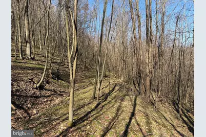 129+/- Acres Black Hollow Rd, Schellsburg, PA 15559 - Photo 51