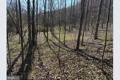129+/- Acres Black Hollow Rd, Schellsburg, PA 15559 - Photo 35