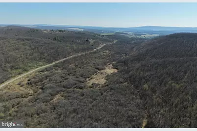 129+/- Acres Black Hollow Rd, Schellsburg, PA 15559 - Photo 11
