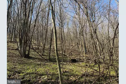 129+/- Acres Black Hollow Rd, Schellsburg, PA 15559 - Photo 53