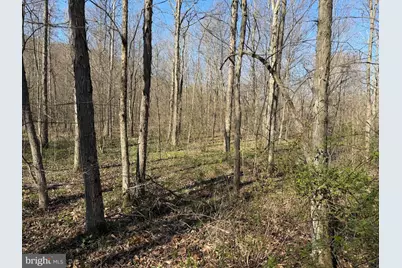 129+/- Acres Black Hollow Rd, Schellsburg, PA 15559 - Photo 25