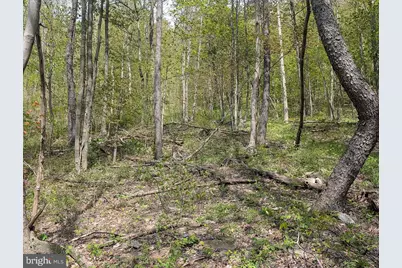 119 Heavens View Road, Schellsburg, PA 15559 - Photo 27