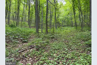 55Ac Main Road, Bedford, PA 15522 - Photo 3