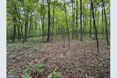 55Ac Main Road, Bedford, PA 15522 - Photo 5