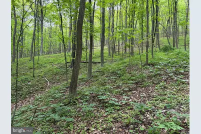 145Ac Main Road, Bedford, PA 15522 - Photo 21