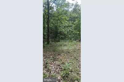 234 Coastline Rd., Everett, PA 15537 - Photo 9