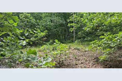 234 Coastline Rd., Everett, PA 15537 - Photo 15
