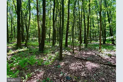 3243 Churchview Road, New Enterprise, PA 16664 - Photo 31