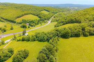 930 Osman Rd, Alum Bank, PA 15521 - Photo 49