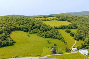 930 Osman Rd, Alum Bank, PA 15521 - Photo 51