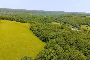 930 Osman Rd, Alum Bank, PA 15521 - Photo 59