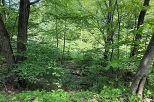 930 Osman Rd, Alum Bank, PA 15521 - Photo 47
