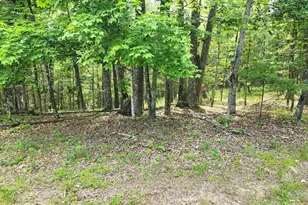 217 Lansing Rd, Artemas, PA 17211 - Photo 43