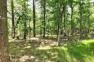 217 Lansing Rd, Artemas, PA 17211 - Photo 17