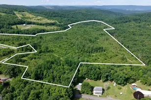 0 Enid Mountain Rd, Six Mile Run, PA 16679 - Photo 1