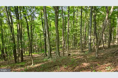 Mosquito Road, Six Mile Run, PA 16679 - Photo 23