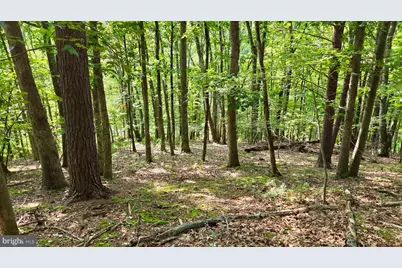 Mosquito Road, Six Mile Run, PA 16679 - Photo 5