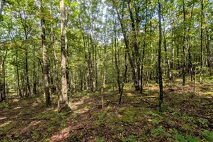 1616 Pine Ridge Rd, Clearville, PA 15535 - Photo 13