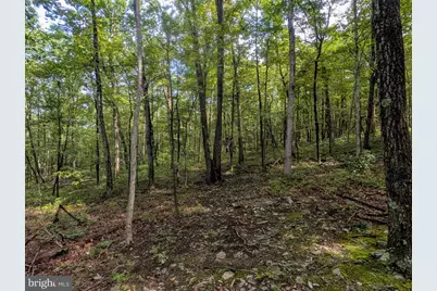 1616 Pine Ridge Road, Clearville, PA 15535 - Photo 15