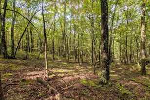 1616 Pine Ridge Rd, Clearville, PA 15535 - Photo 17